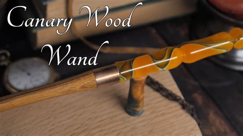 Unveiling the Secrets of Wand Cores: Why Wood Matters